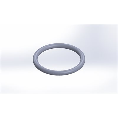 O-RING