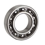 OUTPUT SHAFT BEARING